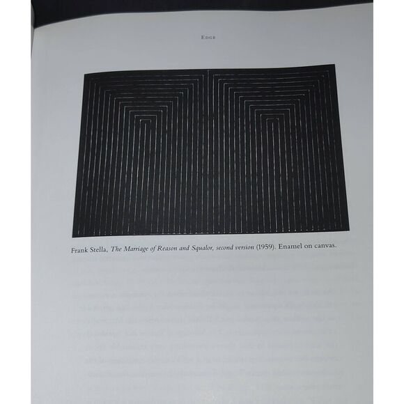 Robert Ryman - Used Paint By Suzanne Hudson 1st Print 2009 HB/DJ READ DESCRIPTIO - Picture 12 of 16